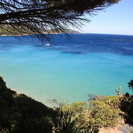 Les Alcyons Hotel Le Lavandou